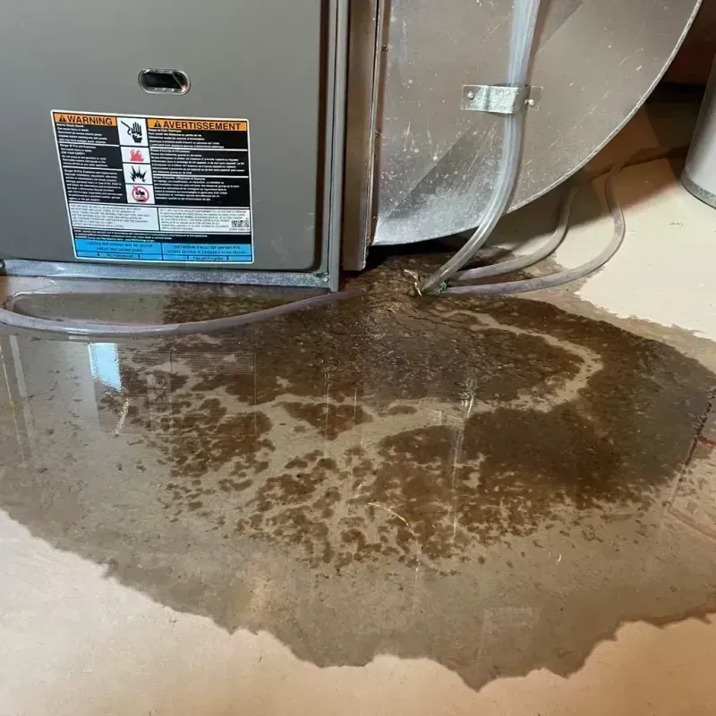 Appliance Leak Cleanup in Dinwiddie County, VA